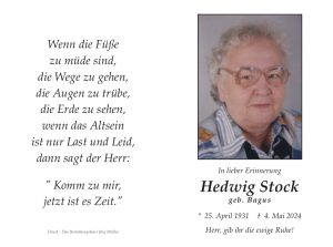 Stock_Hedwig_№5